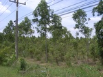 33469RIMG0209.JPG