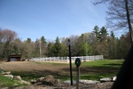 224IMG_4120.JPG