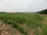 53826CIMG0375.JPG