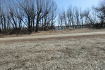 43604CIMG0436.JPG