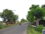 14271IMG_4611.JPG