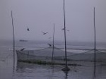 1467R0015183_small.jpg