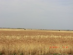 29863CIMG1356.JPG