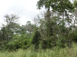 49608CIMG5945.JPG
