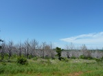 21633P1010459.JPG