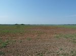 39254P1070658.JPG