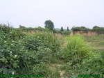 834R0015382_tag.jpg