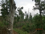 53316CIMG6595.JPG