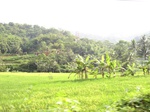 14678IMG_5059.JPG
