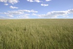 26002SOUTH-IMG_1601.JPG