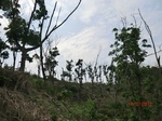 53753CIMG7153.JPG