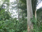 51083CIMG4823.JPG