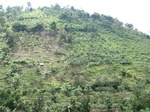 16398IMG_5183.JPG