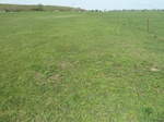 54003P1060094.JPG