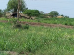 1768322042008(63).JPG