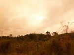 54820Berau (111).JPG
