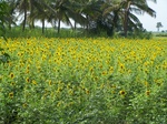17590100_2527.JPG