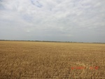 29399CIMG0633.JPG