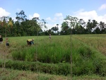 31044CIMG0906.JPG
