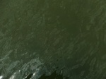 58275CIMG2722.JPG