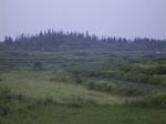 796R0015370.jpg