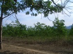 54292R0012737.JPG