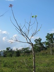31966IMG_5645.jpg