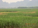 34743CIMG2571.JPG
