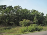 34403IMG_5319.JPG