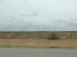 35375DSC02887.JPG