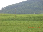 34790CIMG2621.JPG