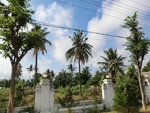 30932CIMG0792.JPG