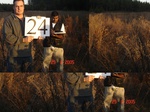 10820gt-024-wetland-perennial-peatland-02.jpg