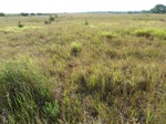39287SEIL20110726E.JPG