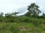 18593P1000430.JPG