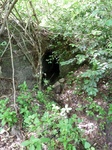 24451Colima 006.jpg