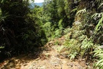 54112pic1.jpg