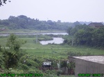 843R0015385_tag.jpg