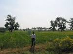 9315gt036b-cropland-rainfed-mixed-crops.gif
