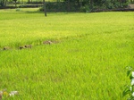 1731320042008(94).JPG