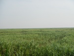 54333DSCN1607.JPG