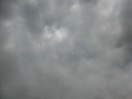 46222CIMG0511.JPG