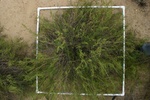 25983100W-1-IMG_1393.JPG