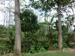 31115CIMG0977.JPG
