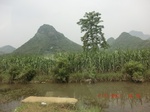 32634CIMG1753.JPG
