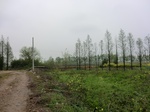 51790CIMG0026.JPG
