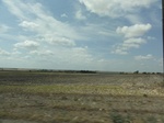 35604DSC02106.JPG