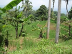 13794IMG_4057.JPG