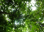 18248P1000084.JPG