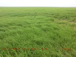 39090CIMG4784.gps.jpg